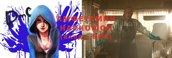 твердый Мегион