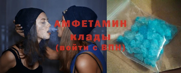 гидра Алексин