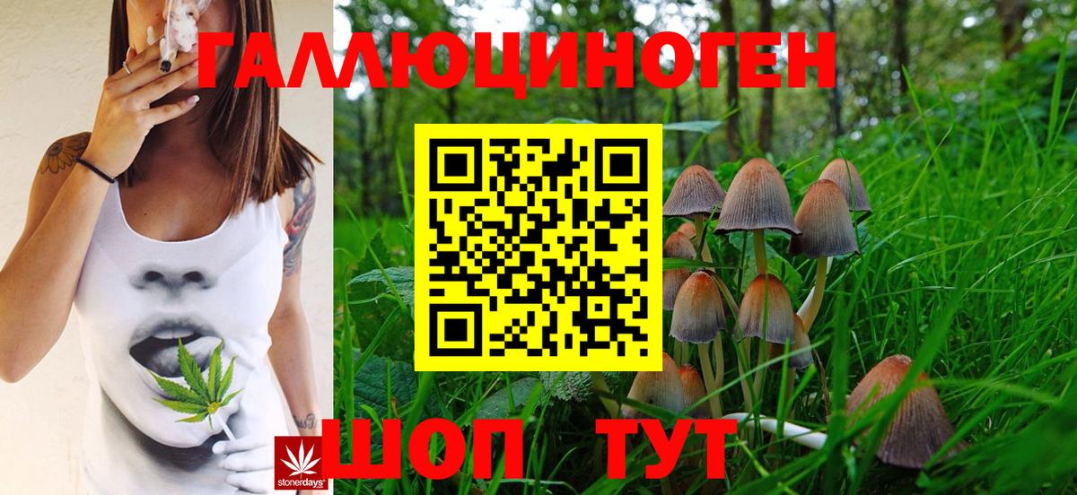 Сургут  Галлюциногенные грибы Psilocybe  Галлюциногенные грибы Psilocybine cubensis  Вход с VPN 