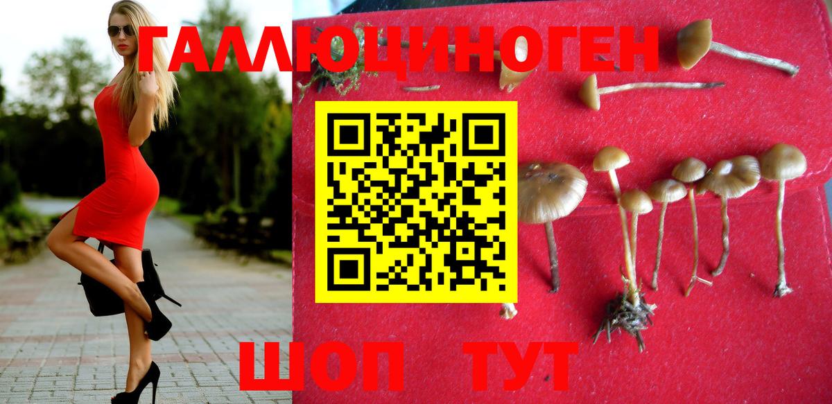 Псилоцибиновые грибы GOLDEN TEACHER Сургут